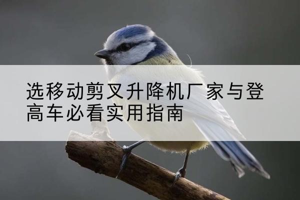 安源电动升降机厂家-选移动剪叉升降机厂家与登高车必看实用指南