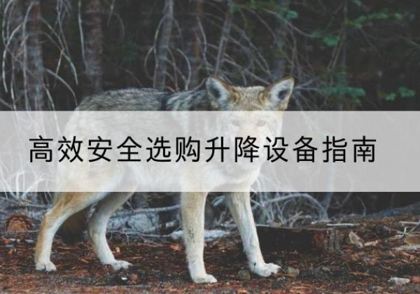 安源升降货梯厂家推荐-*安全选购升降设备指南