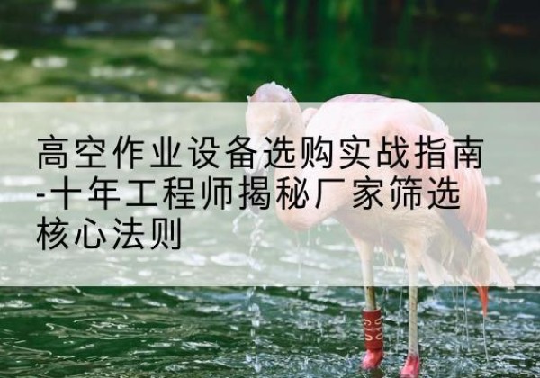 安源剪叉式升降机厂家-高空作业设备选购实战指南-十年工程师揭秘厂家筛选核心法则